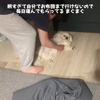 眠すぎてお布団に行けない…