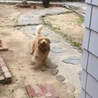 「許可が出た！」