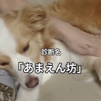 診断名「甘えん坊」
