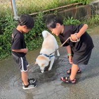 水たまりで遊ぶスズちゃんたち8