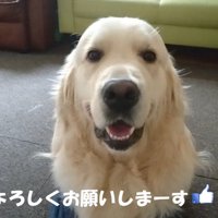 ギンちゃんの表情の変化⑩