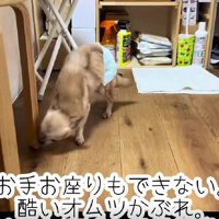 「死んじゃってもいい」と言われた