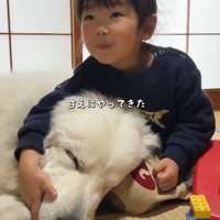 甘えに来ました♡