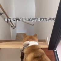 見えなくなると…