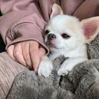 甘えながらのんびり♡