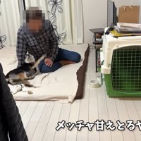 急に甘えん坊モード♡