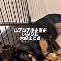 ムチムチの姿も愛おしい