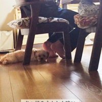 何よりも大切な存在