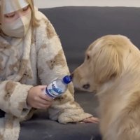 「オレの出番か！？」