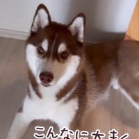 るい君の成長記録9