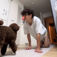 一緒に遊ぶ男性と犬