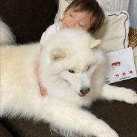 ハグ
