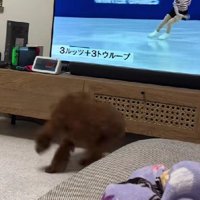 「自分もできる！！」