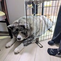 演技