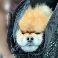 むぎゅ