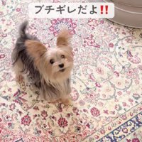 「行かないで！！」