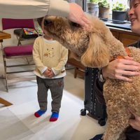 自分の頭を撫でるおばあちゃんを凝視する犬