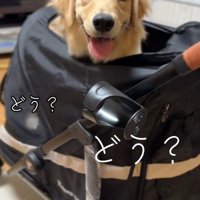 ついに念願が叶ったよ！！