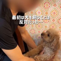 猫派のパパを押し切って…