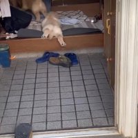 かわいいお尻にキュン♡