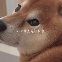 はちくんはちょっぴり人見知り