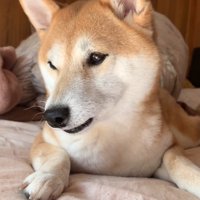 「おいで」と声をかけたら…