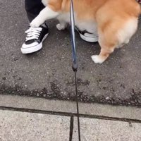 道路
