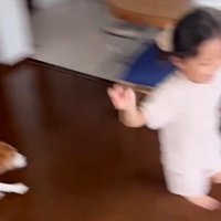 追いかけっこスタート