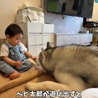 遊びに付き合うスノウくん
