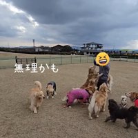 無理だと思ったにこちゃん