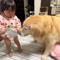 オヤツを奪うベルちゃん2