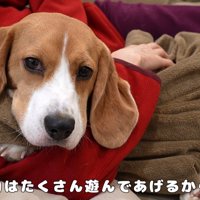 待ちくたびれて拗ねてしまいました…
