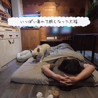 疲れた大福くん