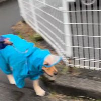次男くんと一緒なら平気！！