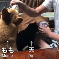 おやつをゲット！