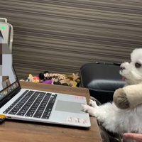 真剣な表情に愛を感じます