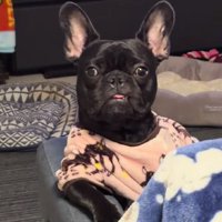 「今日の新聞ある？」