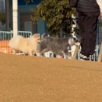 人にぶつかりそう…！