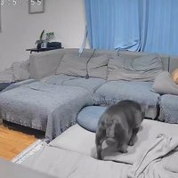 ラブちゃんの元へ