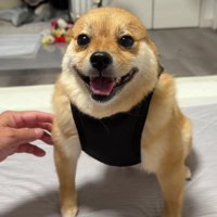 上半身ムキムキ！？