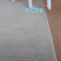 18歳のいずもちゃん