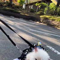 車椅子でお散歩