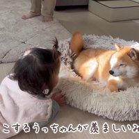 「いいなあ、日向…」