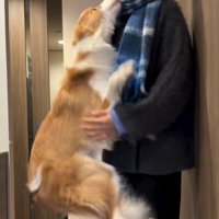 家族との時間が元気の源