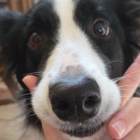 優しくて気が利く性格