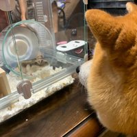回るの楽しいのかな？