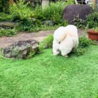 のびのびと楽しんでます♪