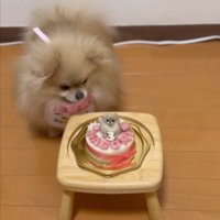立ち上がり