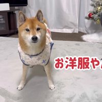 「なかなかいい服だ」