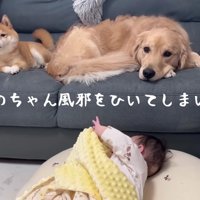 ほのちゃんが風邪をひいた